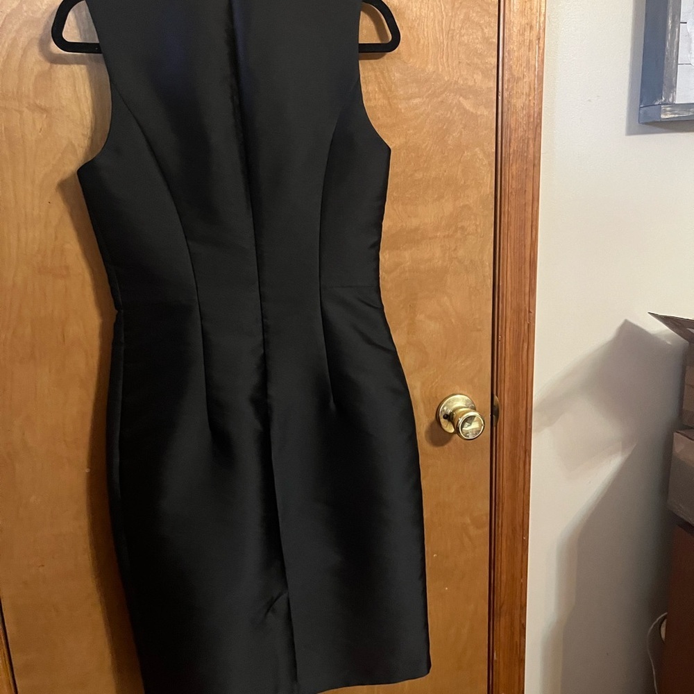 Sachin and Babi Elegant Black Sleeveless Dress - Picture 6 of 8